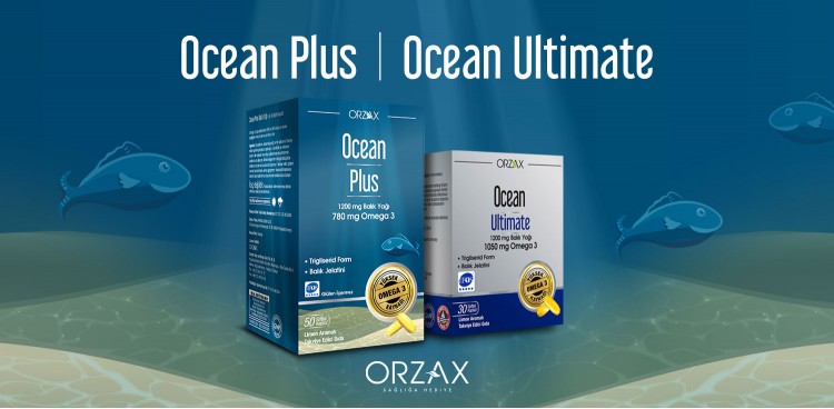 Kutu Ambalaj Tasarımı