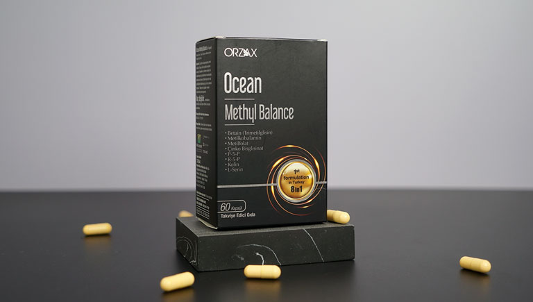 Ocean Methyl Balance